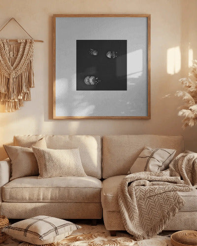 Meduse Dallo Spazio