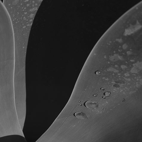 Texture 04
