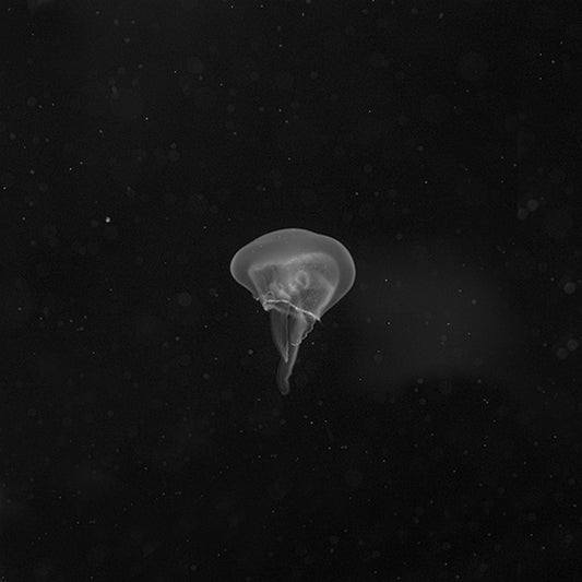 Underwater 02