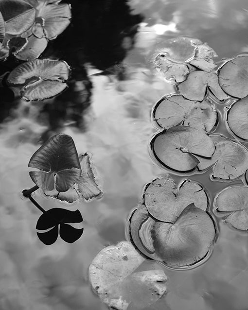 Water is not simple